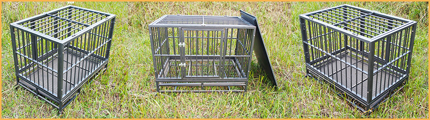 dog cage-2