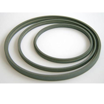 Construction of an oil seal with PTFE sealing