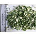 healthy dehydrated G/W spring onion