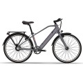 OEM Best Affordable E Bike