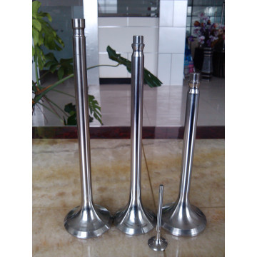 Train Inlet Diesel Engine Valve from Factory