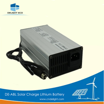 DELIGHT Lithium Ion Battery Charger 12v