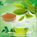 Pure Green tea extract Powder