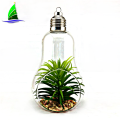 Light Bulb Shape Hanging Glass Vase