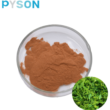 Health care products green tea powder