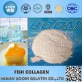 Collagène de poisson en poudre blanche comme additifs alimentaires