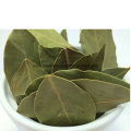 Dry Bay Leaf, Myrcia,