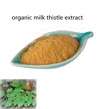 Buy online organic milk thistle extract powder