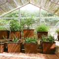 Caja de plantador de acero de Corten al aire libre