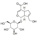 Geniposidic acid 27741-01-1