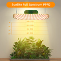 US CA Stock Quantum Board Grow Lamp 180W