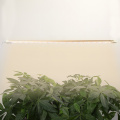 T8 36W Tube Red Blue Grow Light LED