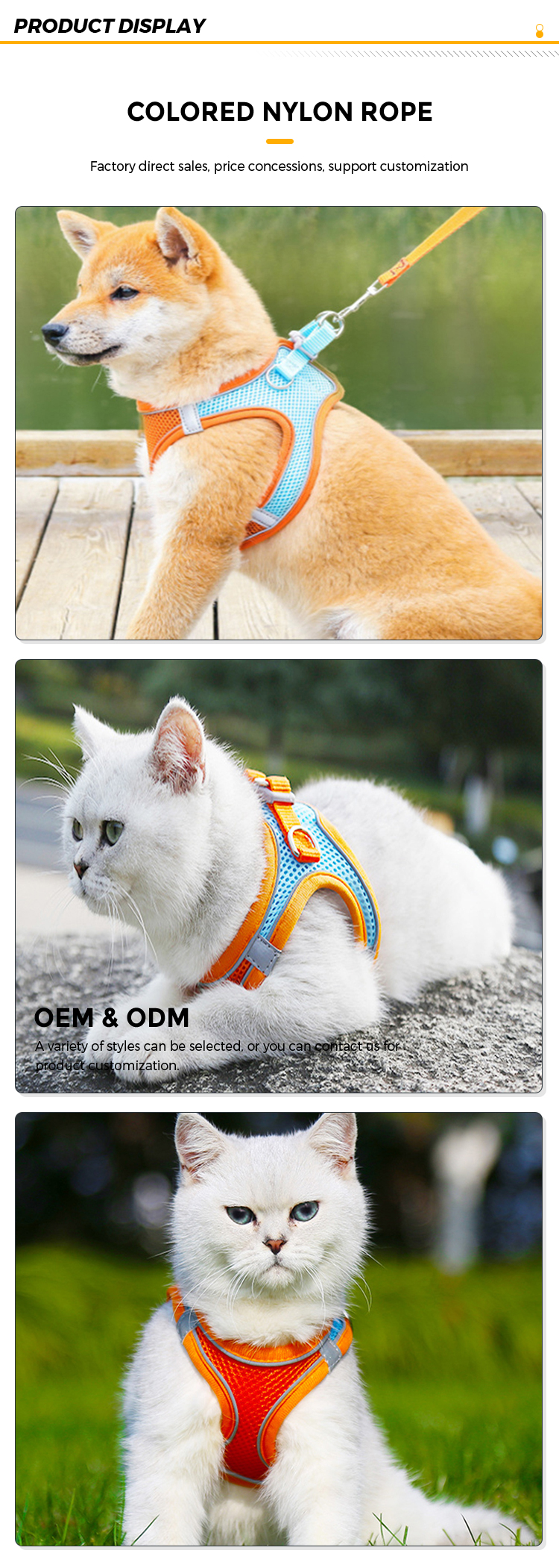 pet leashes