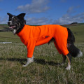 Hundemantel reflektierende Hundejacke