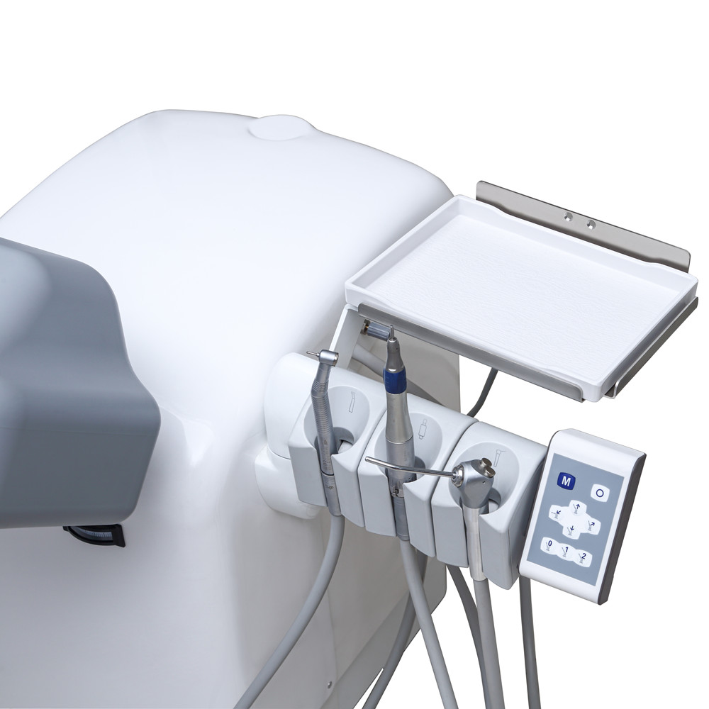 Electric Dental Simulation