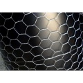 Hexagonal Wire Netting - Weave before Hot-dipped Galvanized