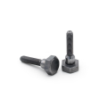 Customized carbon steel professional lock bolts