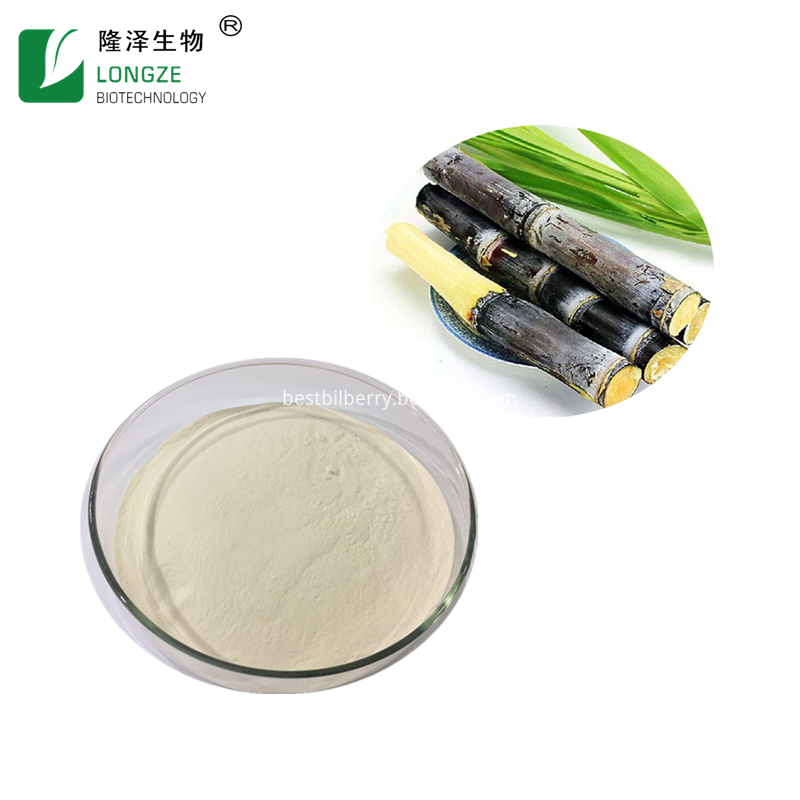 Sugarcane Juice Powder