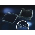 Square Disposable Plastic Petri Dishes