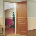 Front Fancy Teak Wood Door, Wood Carving Design (SC-W094)