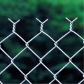 Chain Link Fence/Wire Mesh Fence