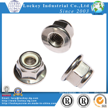 Ss304 Hex Nylon Nut with Flange