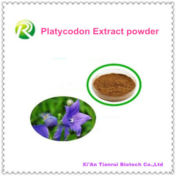 Haute qualité 100% Natural Platycodon Extract Powder