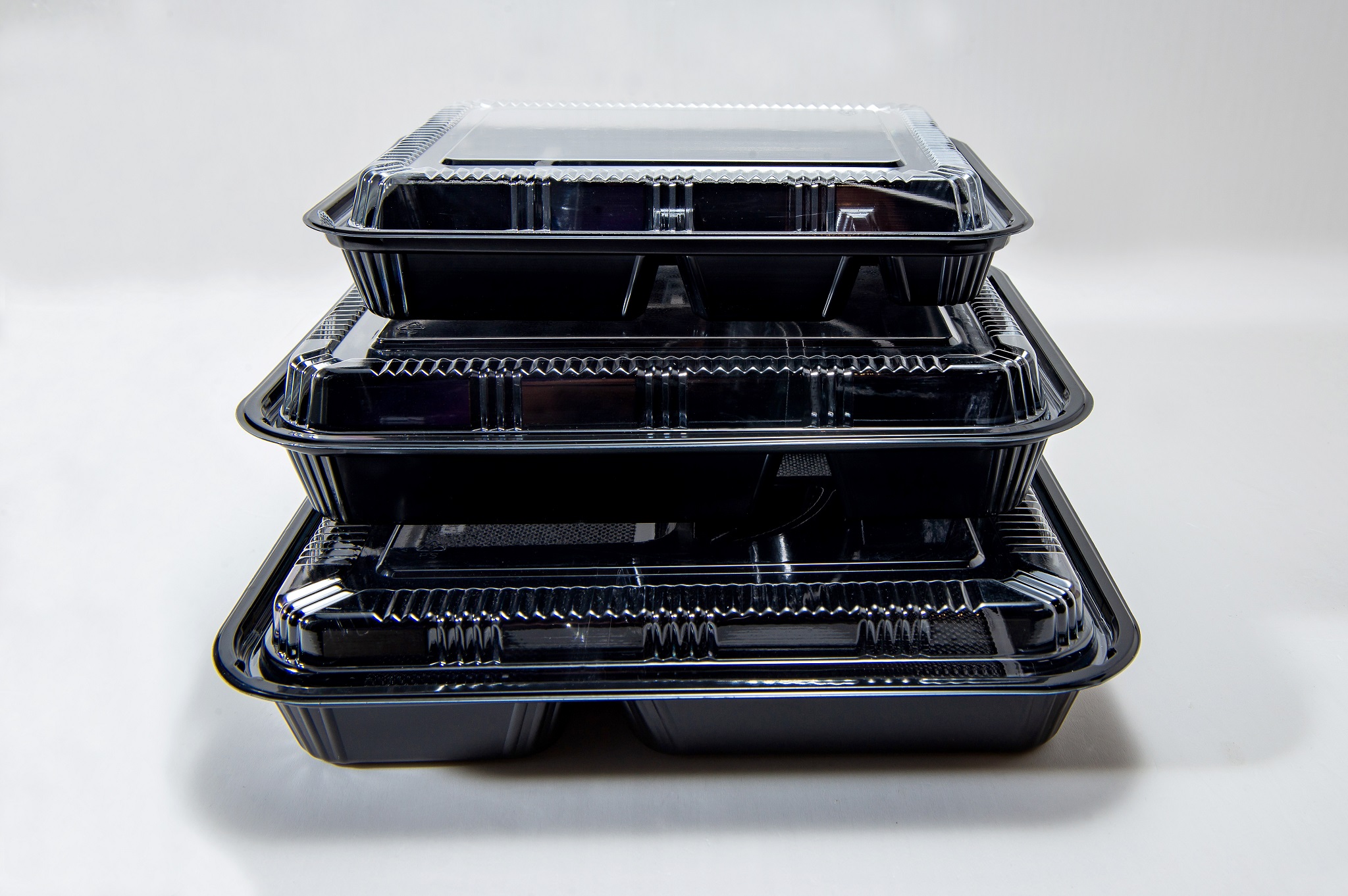 Disposable Lunch Box for multiple food