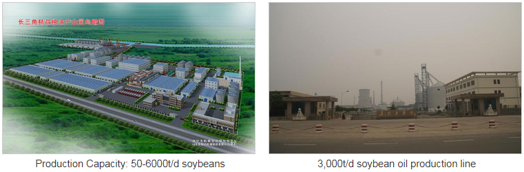 Soybean Oil Production Line