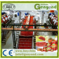 Máquina automática de processamento de pasta de tomate