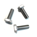 316 Stainless steel bolt