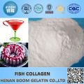 pó branco de colágeno de peixe como aditivo alimentar