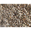 Robusta Coffee/Arabica Green Coffee Beans