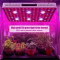 Planta interna COB Grow Light 3000W