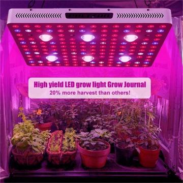 Zimmerpflanze COB Grow Light 3000W