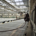 Greenhouse Movable Spray Irrigation System