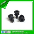 Torx Flat Head Black Anti-Theft Screw