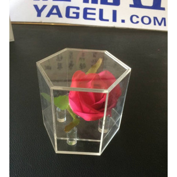 Heißer Verkauf Kristallhexagonaler Acrylblumenkasten für Geschenk