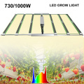 Luz de cultivo de planta LED de flores de 1000 vatios al espectro completo