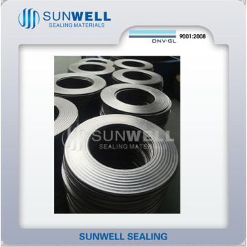 Cmg Corrugated Graphite Gaskets (SUNWELL)