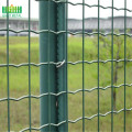 Green Color Pvc Holland Euro Fence à vendre
