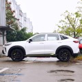 Compact Great Wall Motor haval h6s