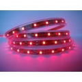 3528 Tira de luz LED flexible Blanco puro