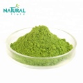 Pó Matcha orgânico de grau 3A 4A 5A 7A