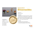 Extrato de raiz em pó ginsenosídeo a granel Ginsenoside