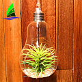 Light Bulb Shape Hanging Glass Vase