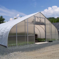 Economica Plastic Sheet Single Tunnel Greenhouse