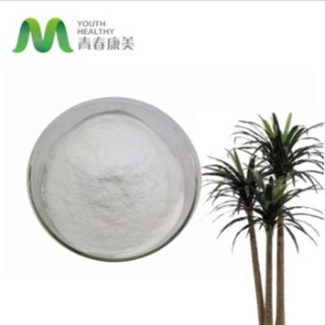 Female Health Palmetto Extract Powder