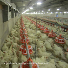 Equipo automático de aves de corral para la administración parental de pollos de engorde