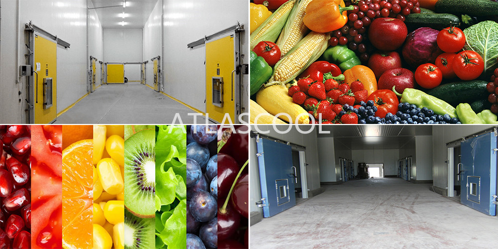 Cold Storage Room for Vegetables